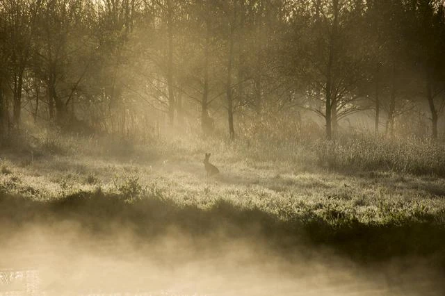 Inspiratie - Leg de ontluikende natuur vast in het bos!
