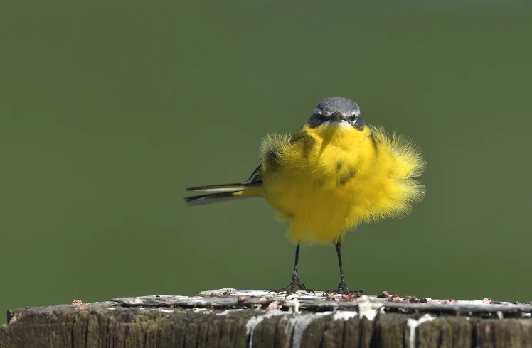 5x weersomstandigheden in de lente