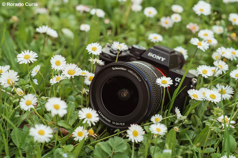 Schneider-Kreuznach x LK Samyang AF 14-24mm F2.8 FE