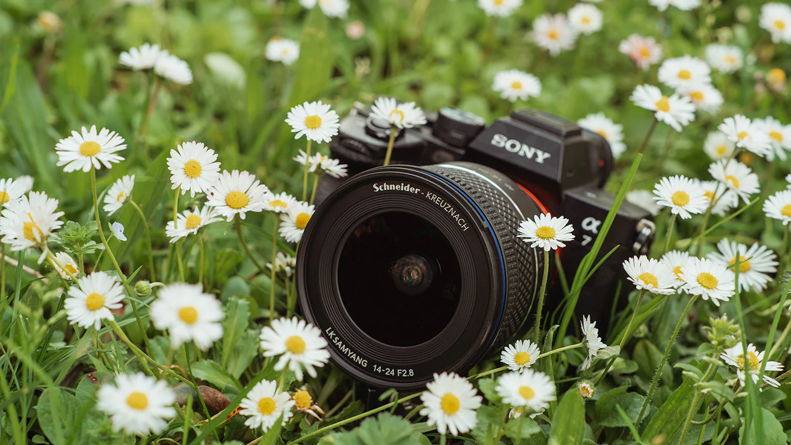 Schneider-Kreuznach x LK Samyang AF 14-24mm F2.8 FE