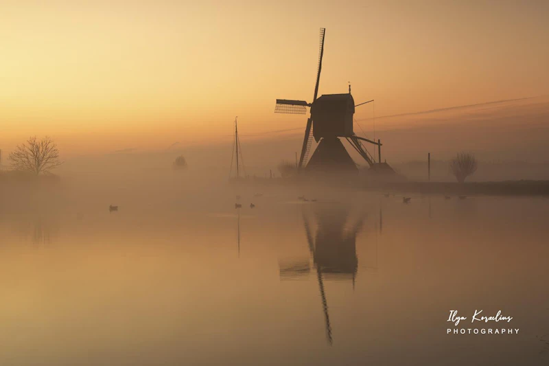 GEZOCHT: De mooiste molens bij zonsopkomst