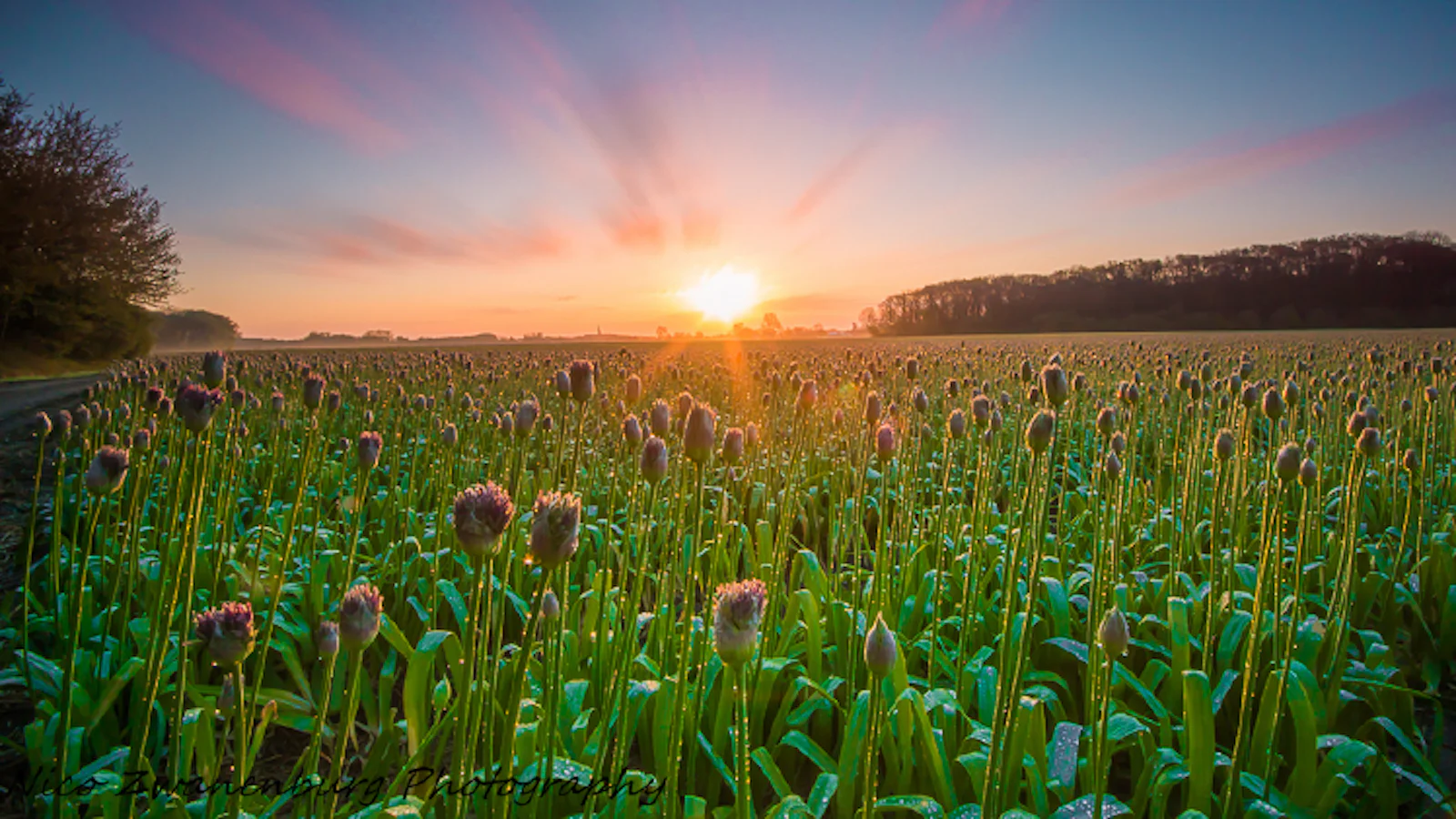 Leg het bijzondere lente-seizoen vast!