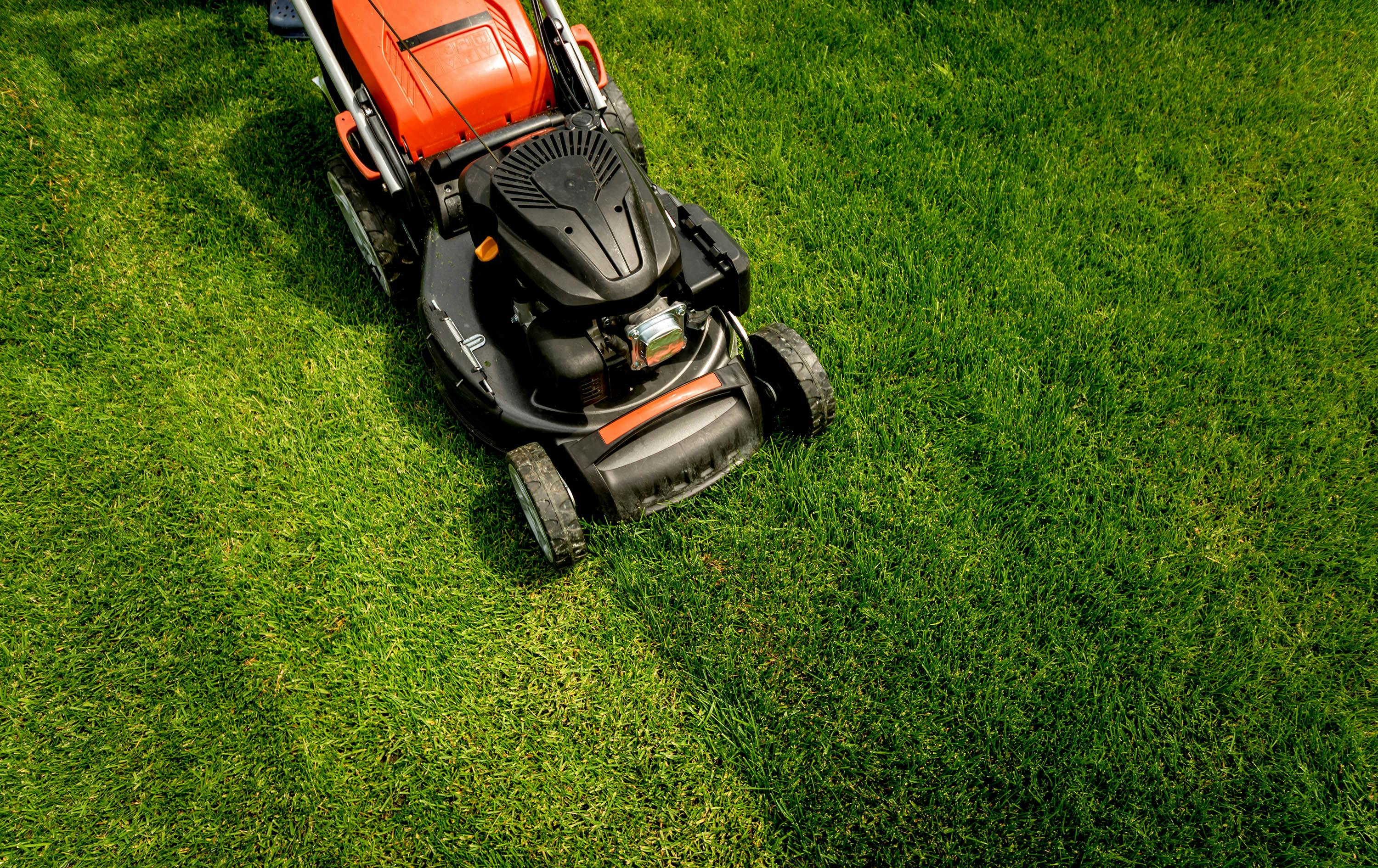 Groener gras? Maaien en onderhouden doe je zo