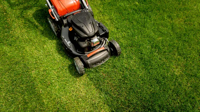 Groener gras? Maaien en onderhouden doe je zo