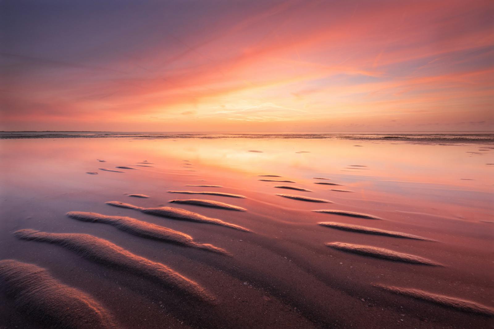 Foto door Ellen van den Doel