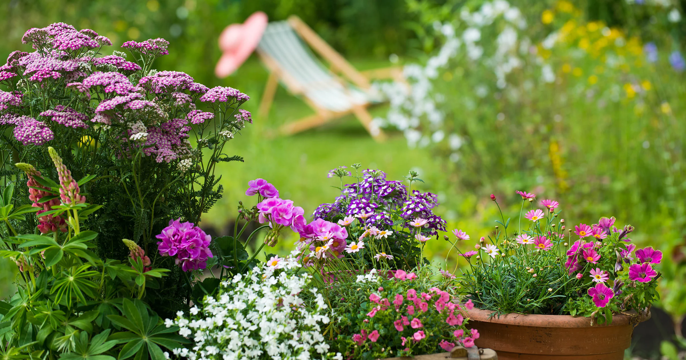 Lekker bezig in de tuin: dit doe je in juni
