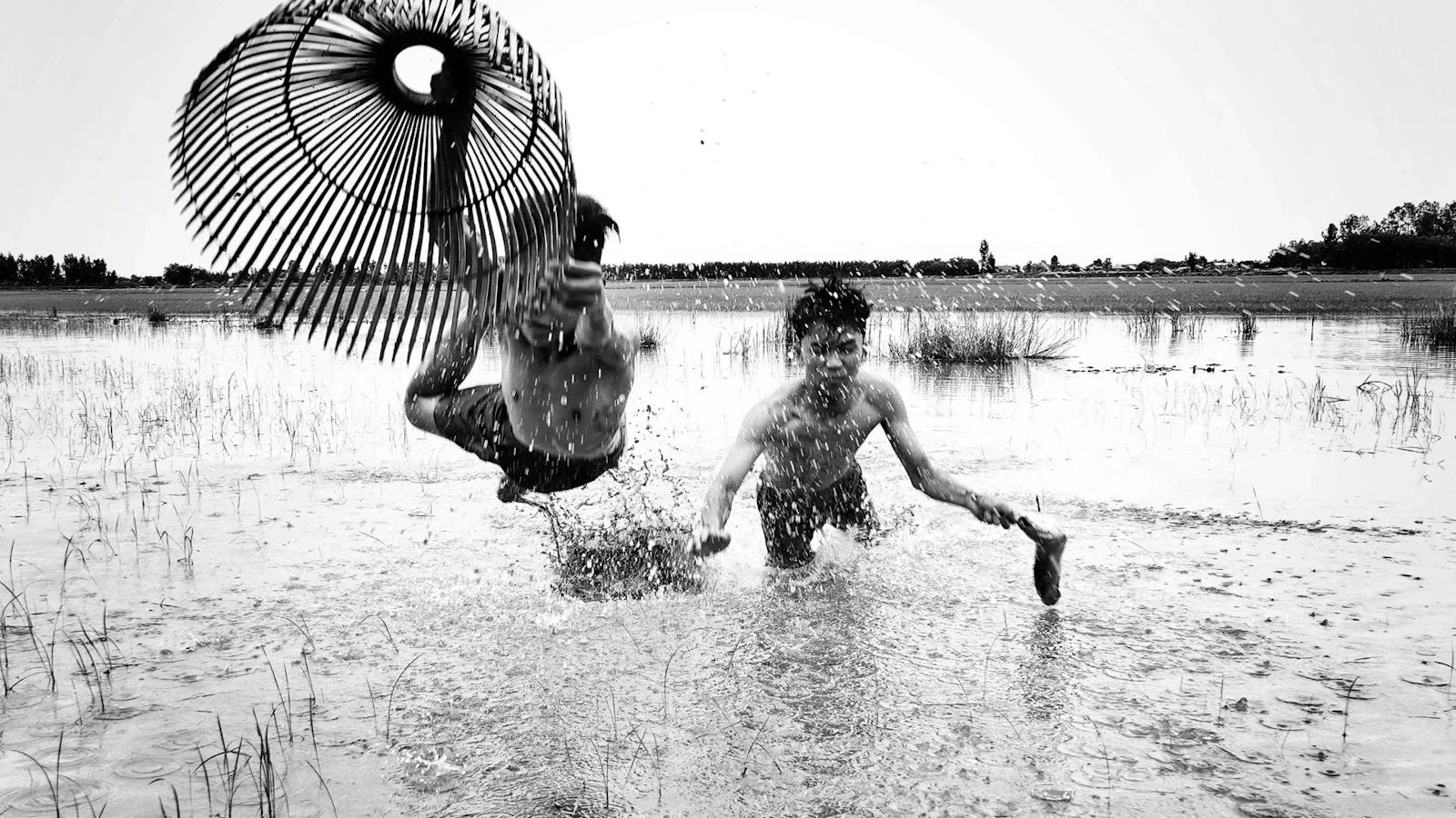 Dit zijn de winnaars van de World Food Photography Awards 2025