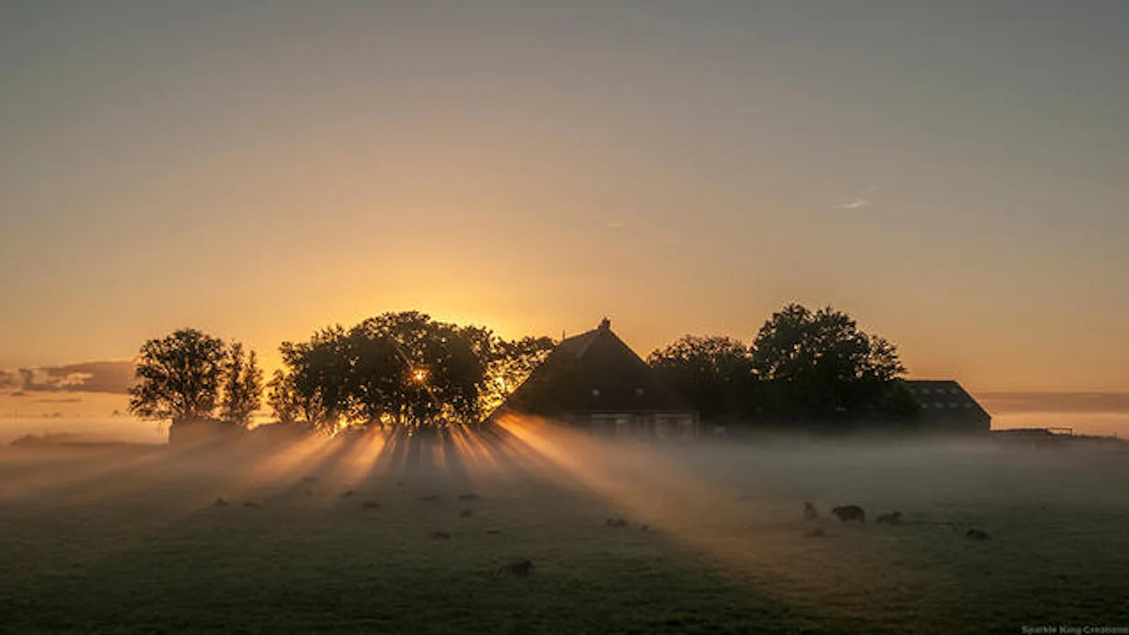 Inspiratie - Het Nederlandse landschap vastleggen