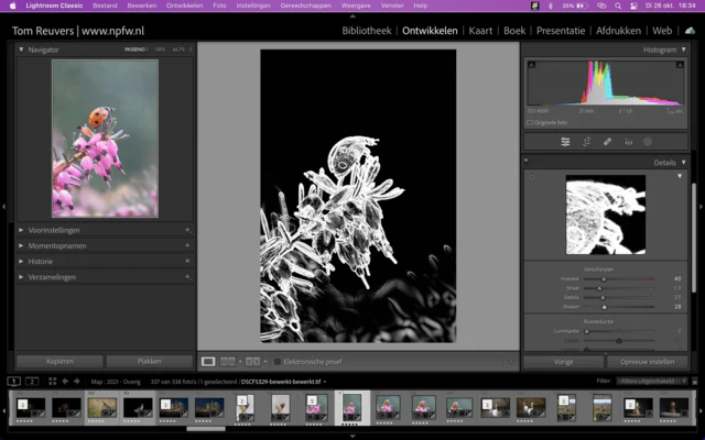 Aan de slag met ruis en scherpte in Lightroom