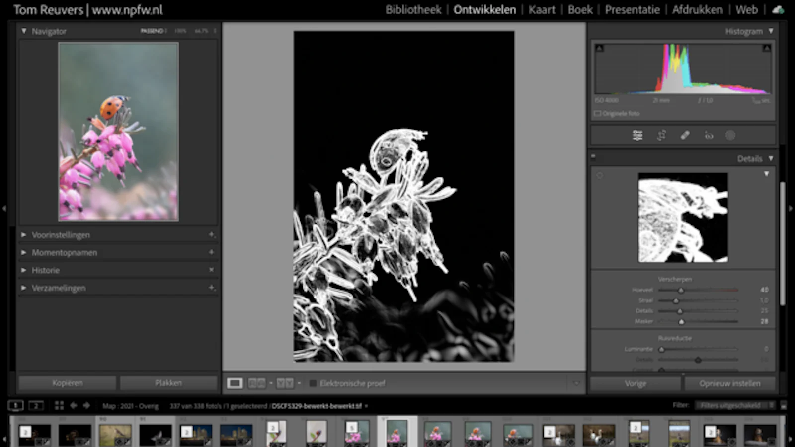 Aan de slag met ruis en scherpte in Lightroom