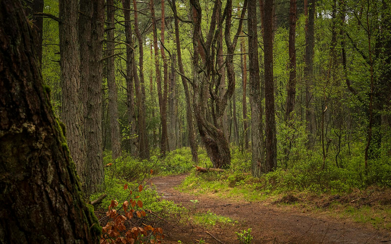 Foto door Maarten Salverda