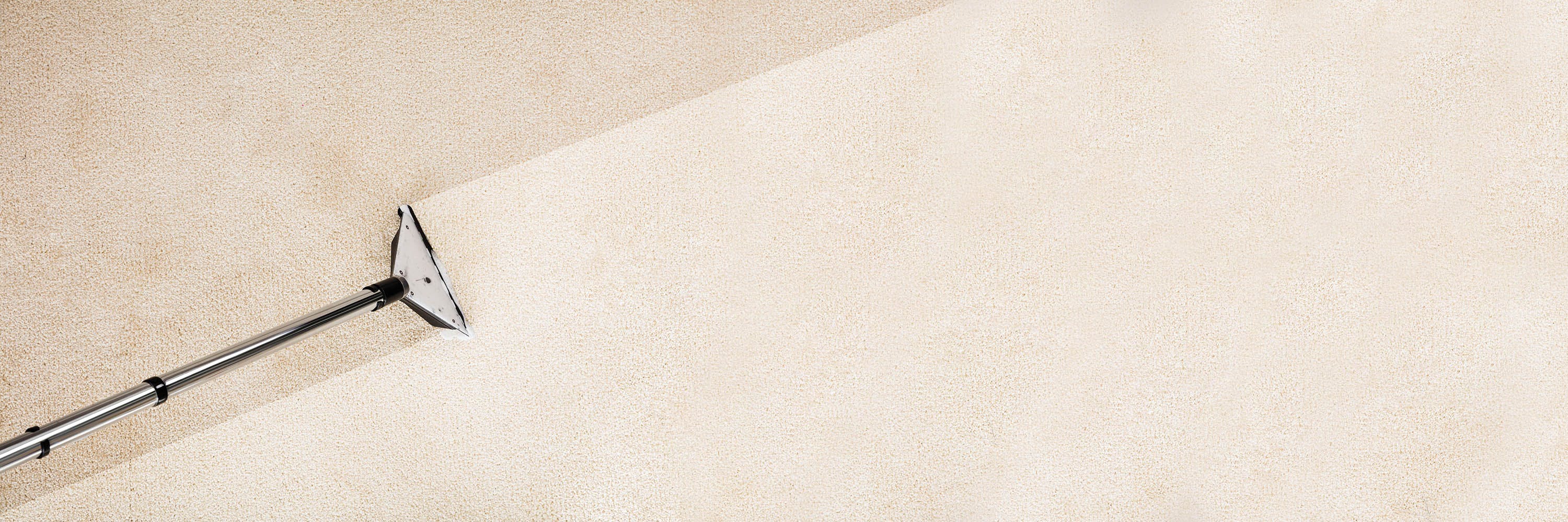 'O nee, een vlek!' Met deze apparaten reinig je de vloer tot diep in de poriën