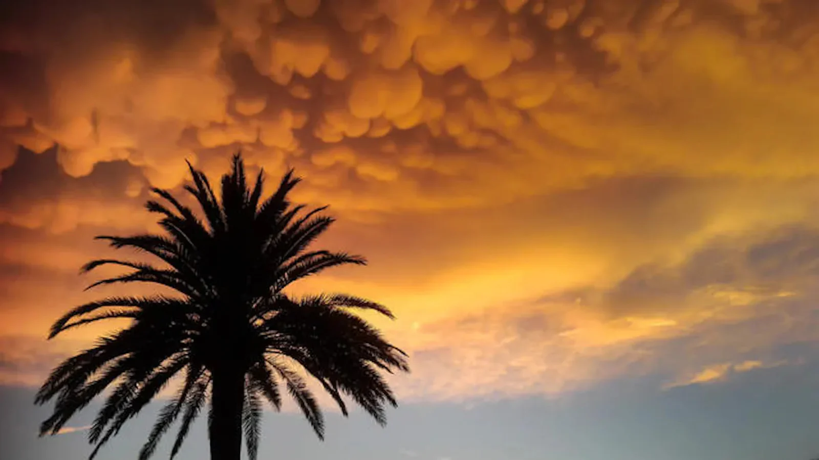 Tips voor het fotograferen van onweer en bliksem