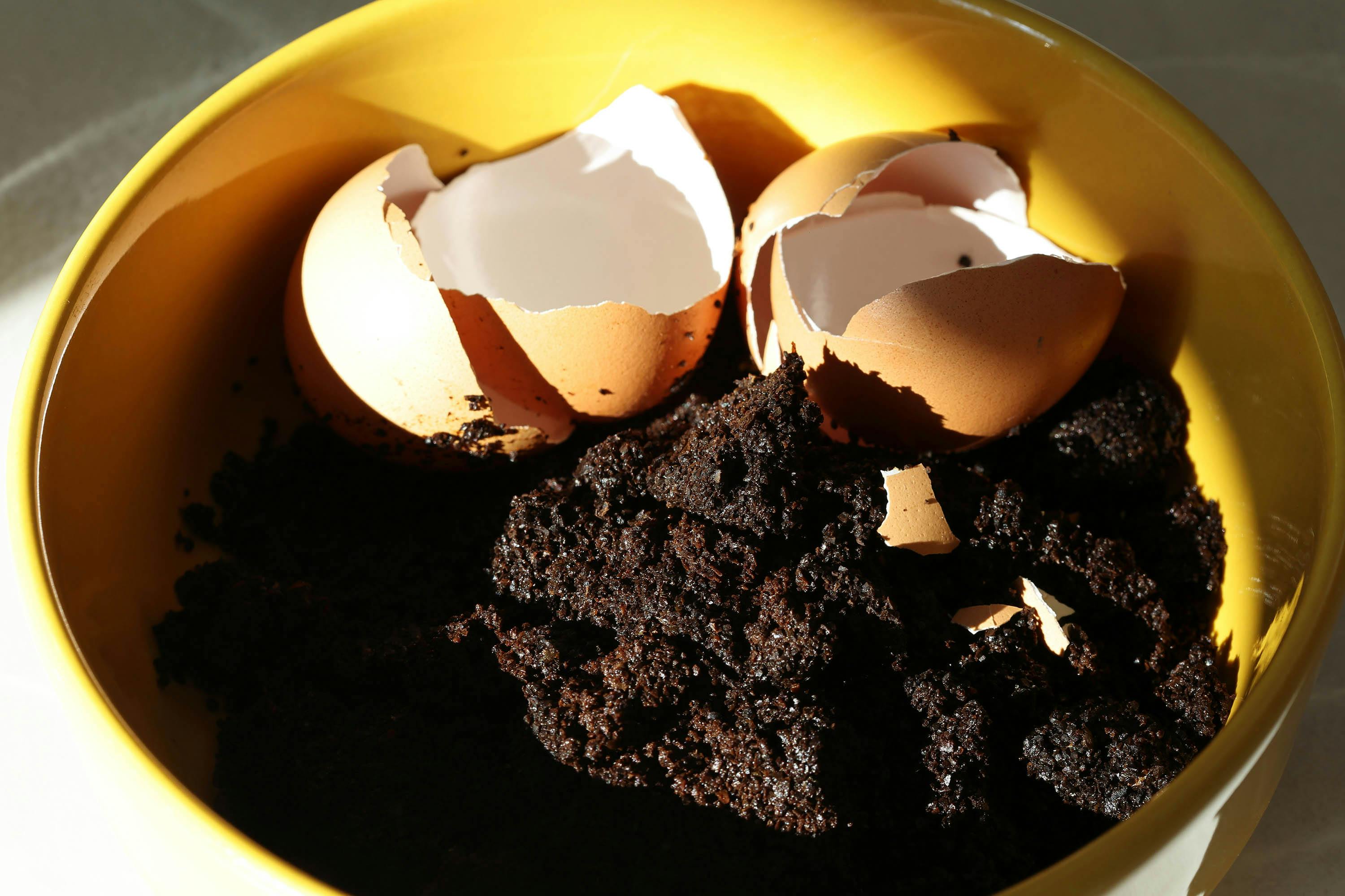 Koffiedik en eierschalen om in de tuin te gebruiken