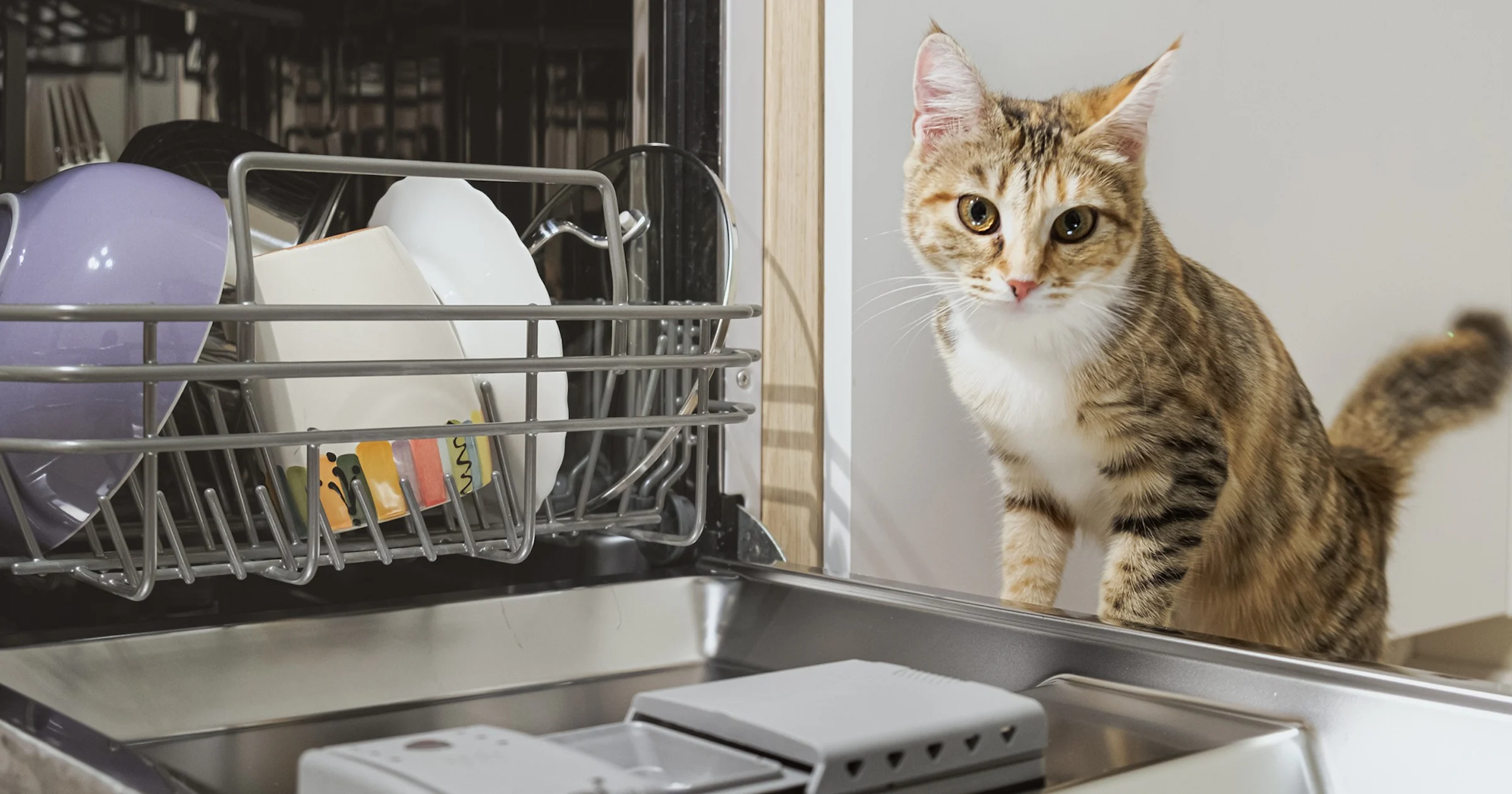 Waar voor je geld: 5 compacte vaatwassers voor de kleinere keuken