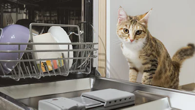 Waar voor je geld: 5 compacte vaatwassers voor de kleinere keuken