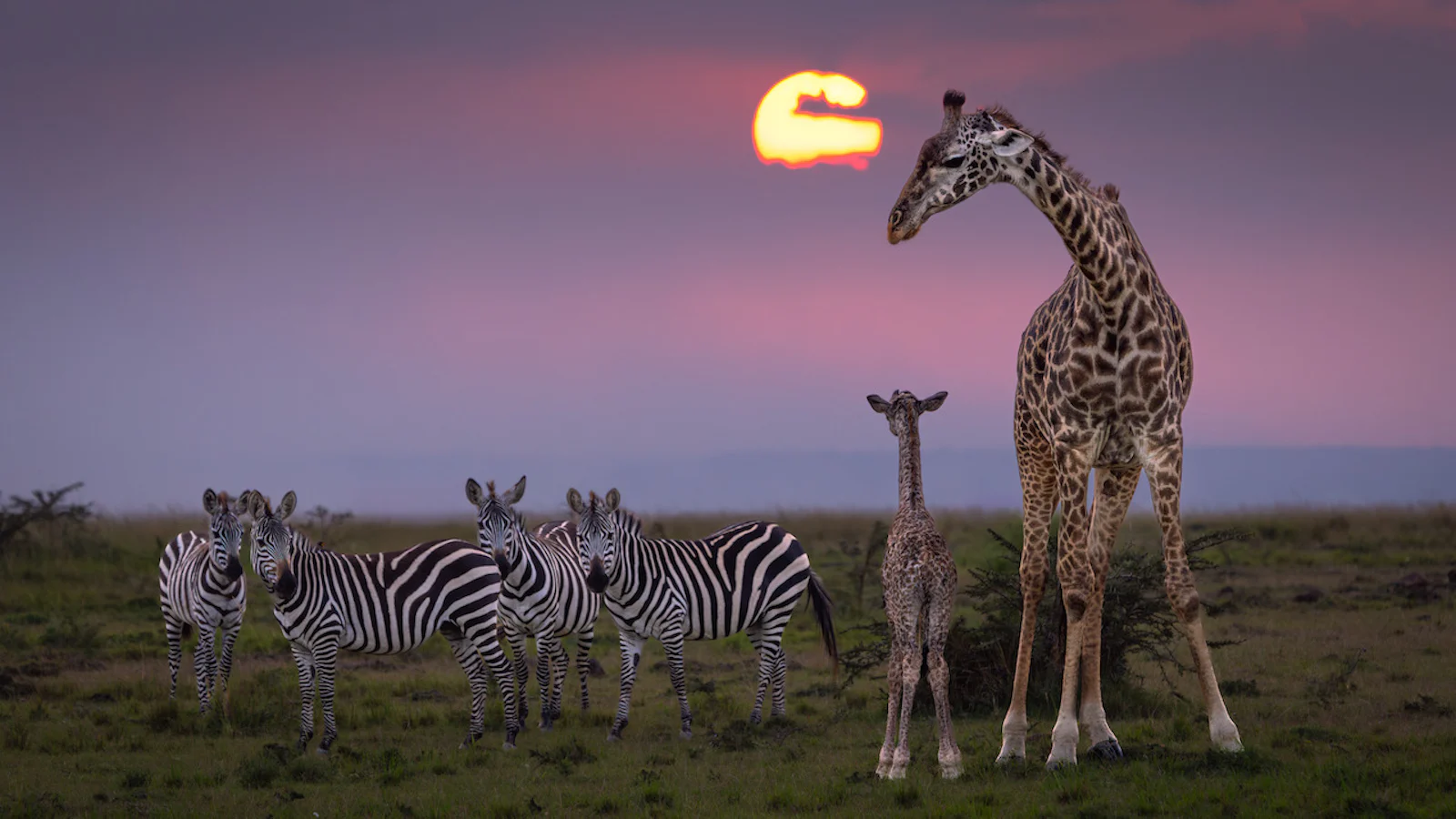 World Photography Day 2025: een wereldwijde ode aan fotografie