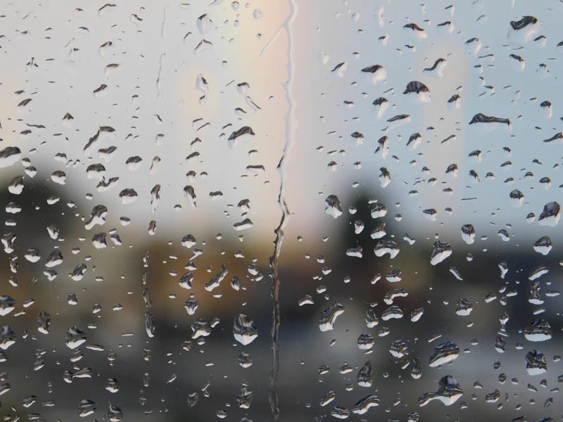 Fotograferen in de regen: zo doe je dat!