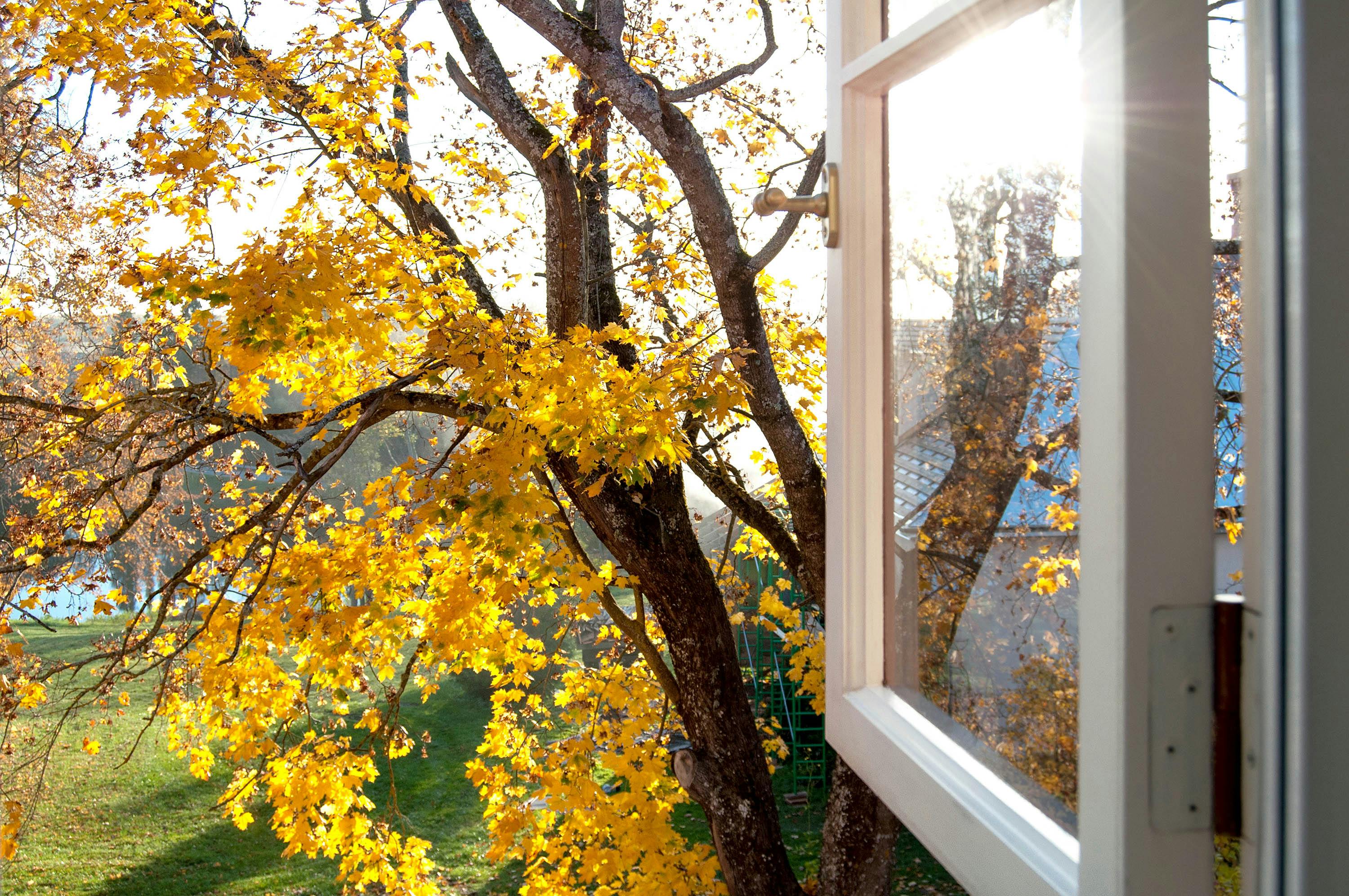 Slim ventileren in de herfst: zo voorkom je vocht en schimmel