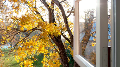 Slim ventileren in de herfst: zo voorkom je vocht en schimmel