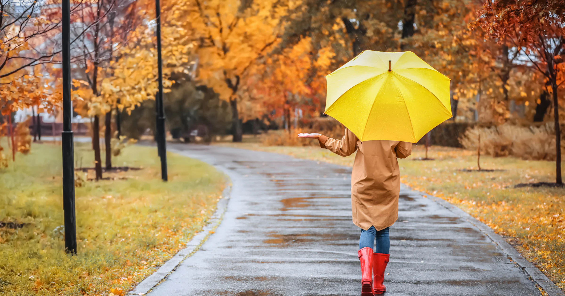 Regen, wind, herfst: hoe betrouwbaar zijn weerapps eigenlijk?