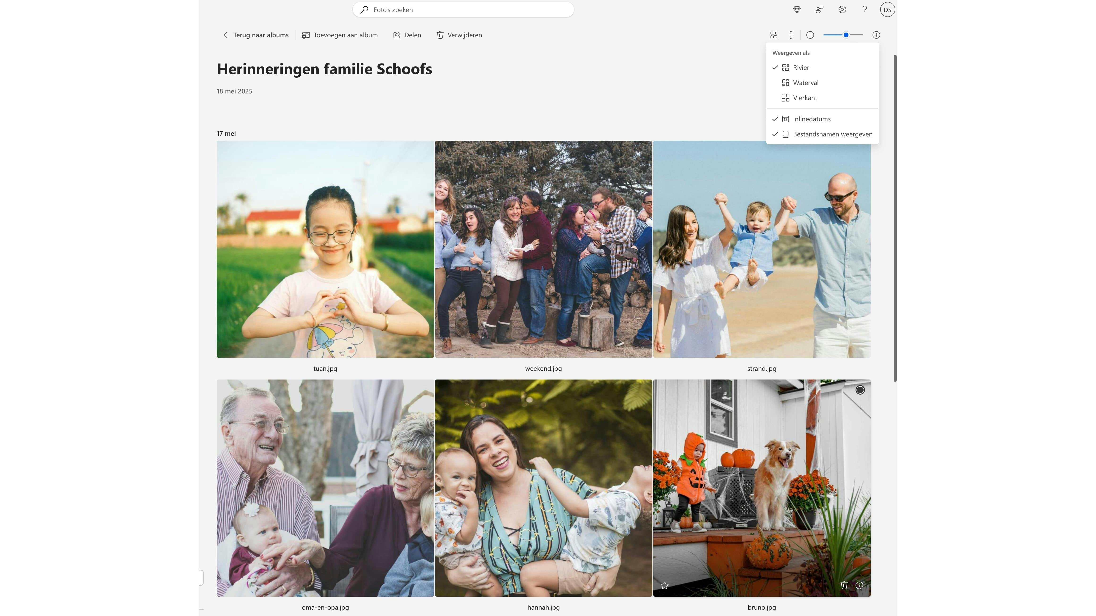 Iedereen die het album bekijkt, kan zijn eigen weergavestijl selecteren.