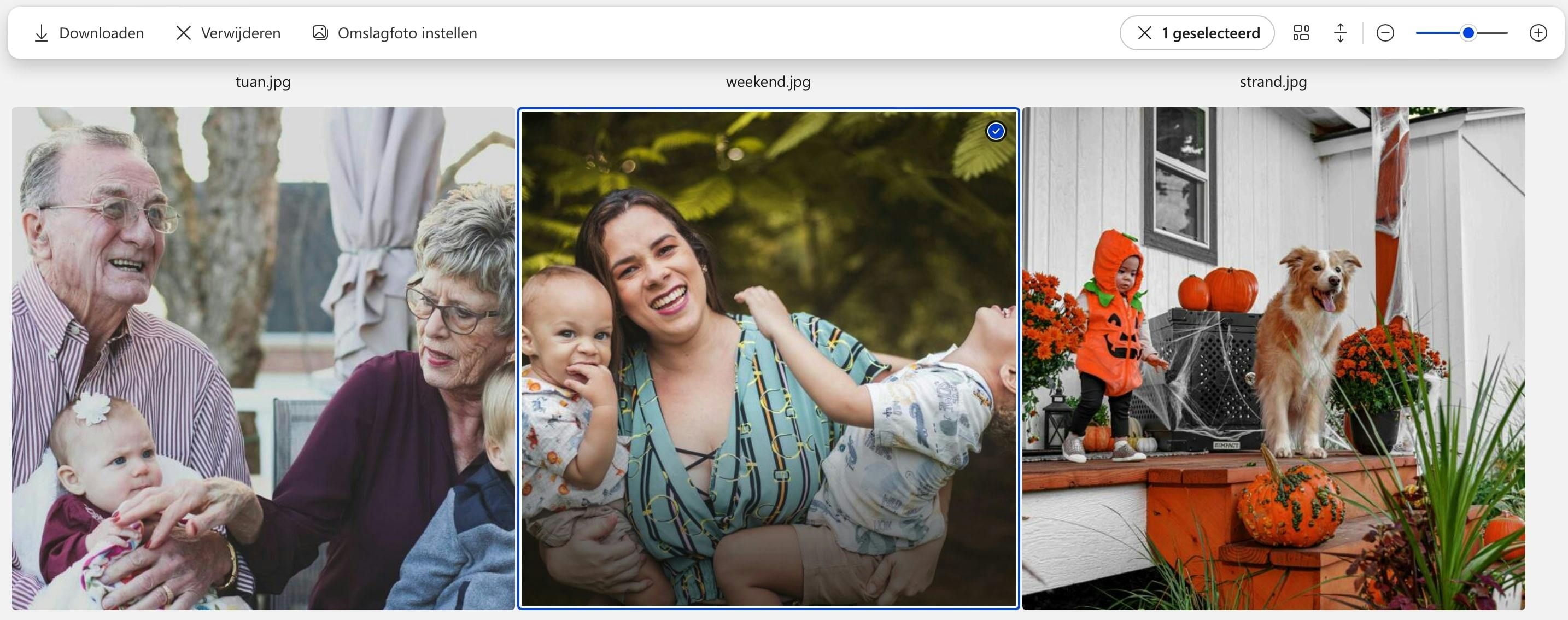 Voortaan wordt de geselecteerde afbeelding de omslagfoto.