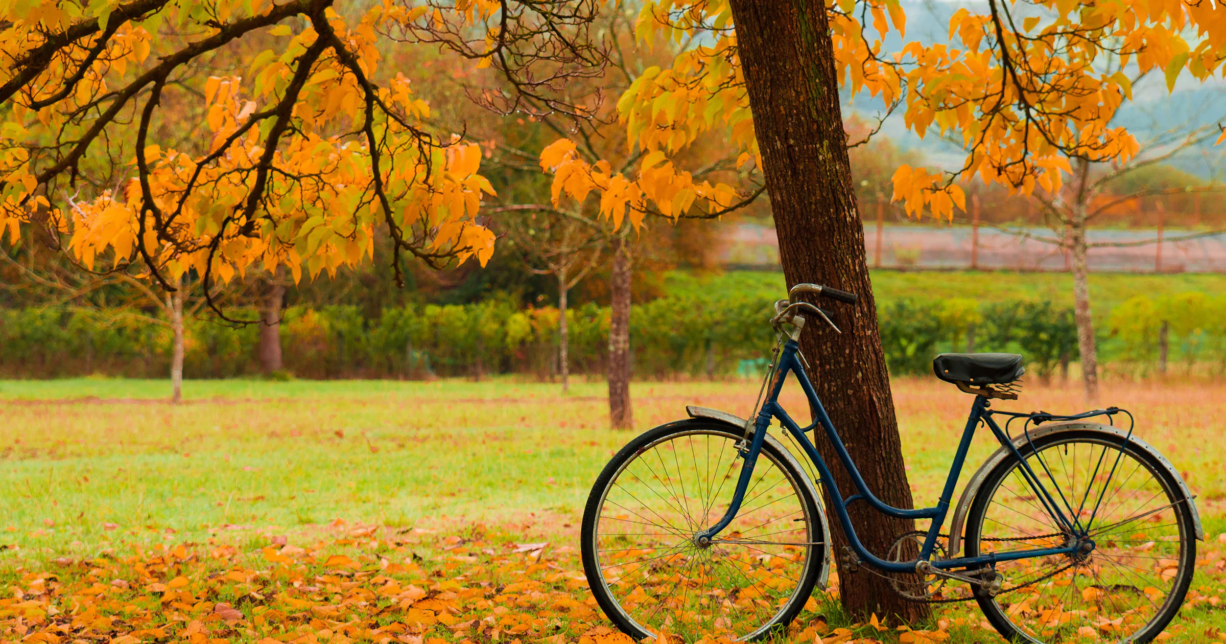 Heerlijk, fietsen in de herfst (maar let wel op deze dingen)
