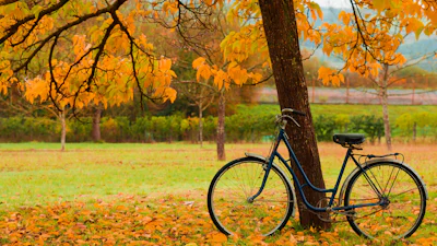 Heerlijk, fietsen in de herfst (maar let wel op deze dingen)