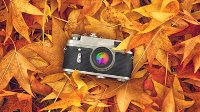 🍁🍂📸 Foto's maken in de herfst? Zo leg je de najaarspracht het beste vast