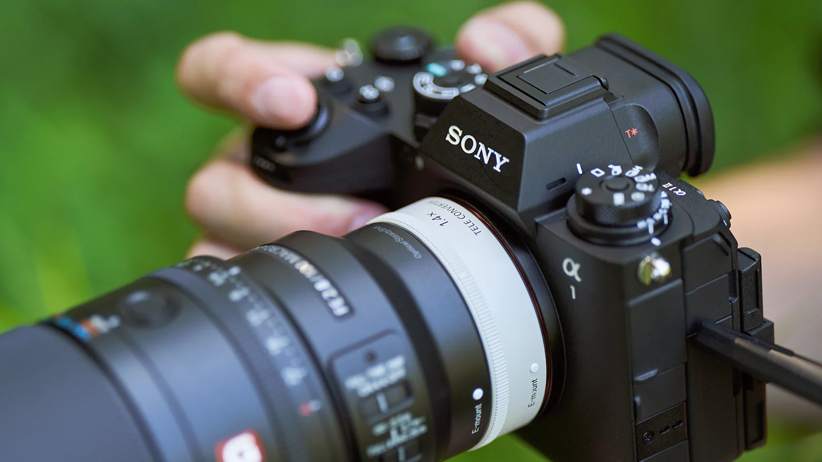 Meer macro: Sony FE 100mm F2.8 Macro GM OSS