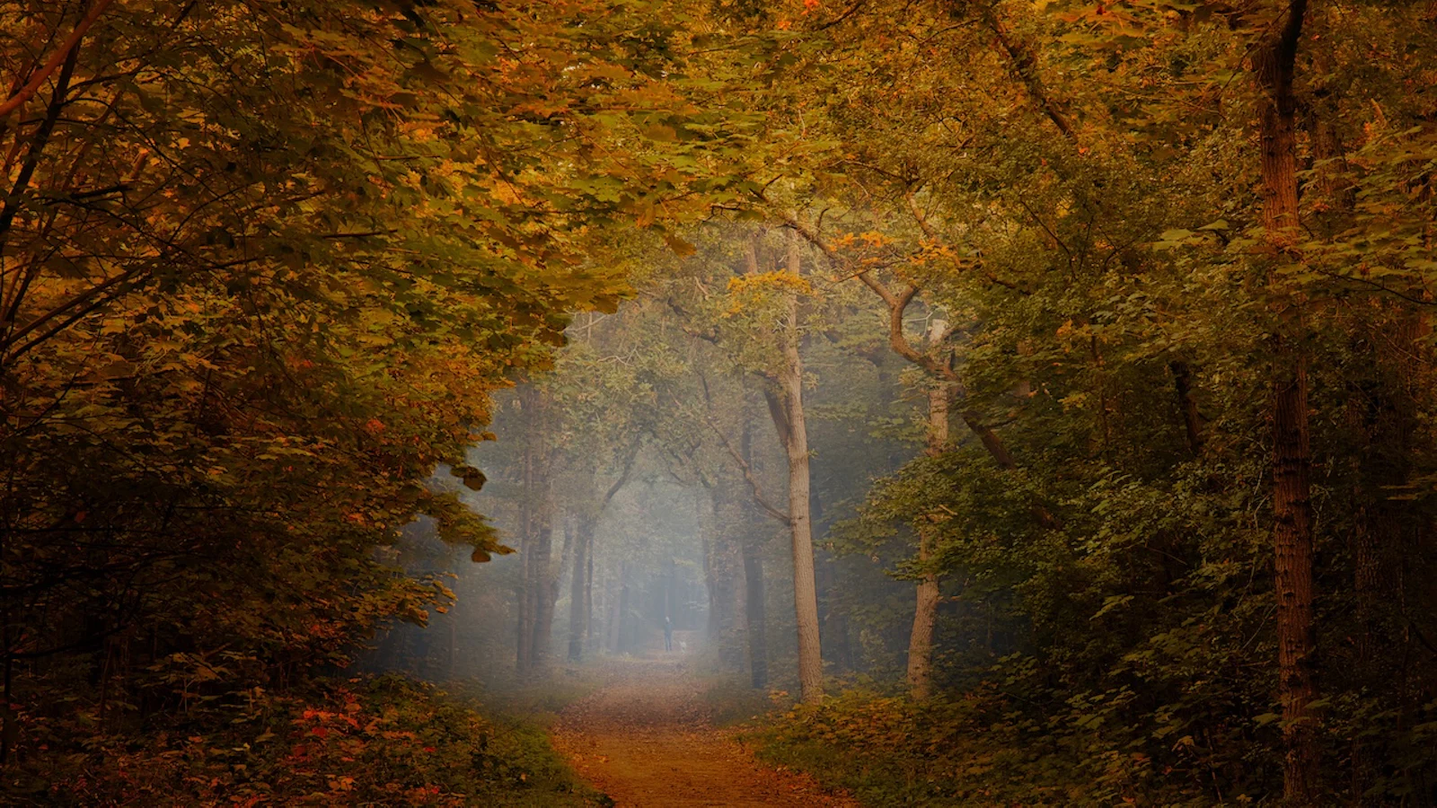 Tips - Herfstlandschappen fotograferen
