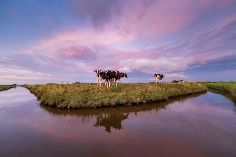 Haal alles uit je groothoeklens