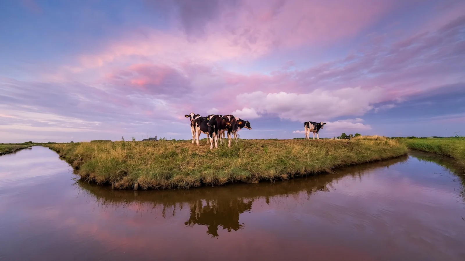Haal alles uit je groothoeklens