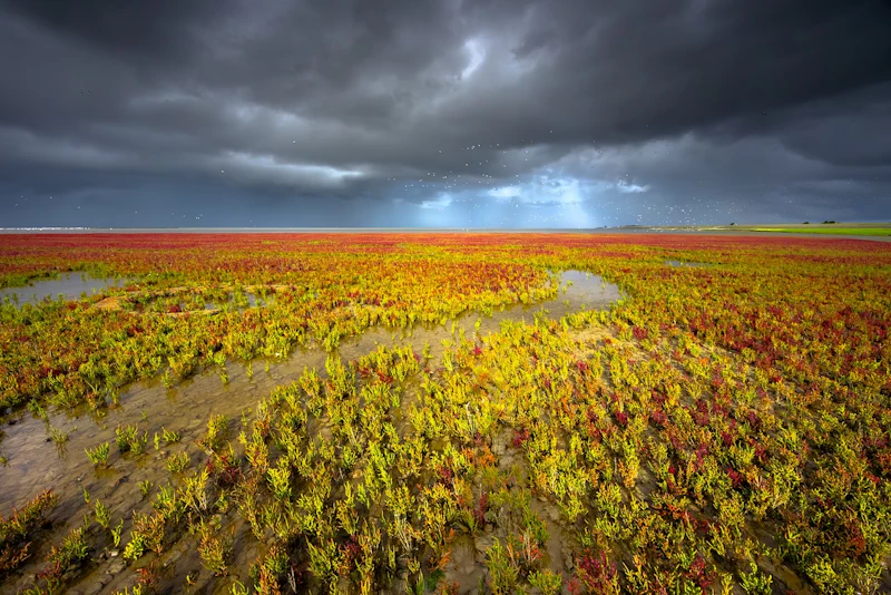 Tips - Natuuronderwerpen voor oktober!