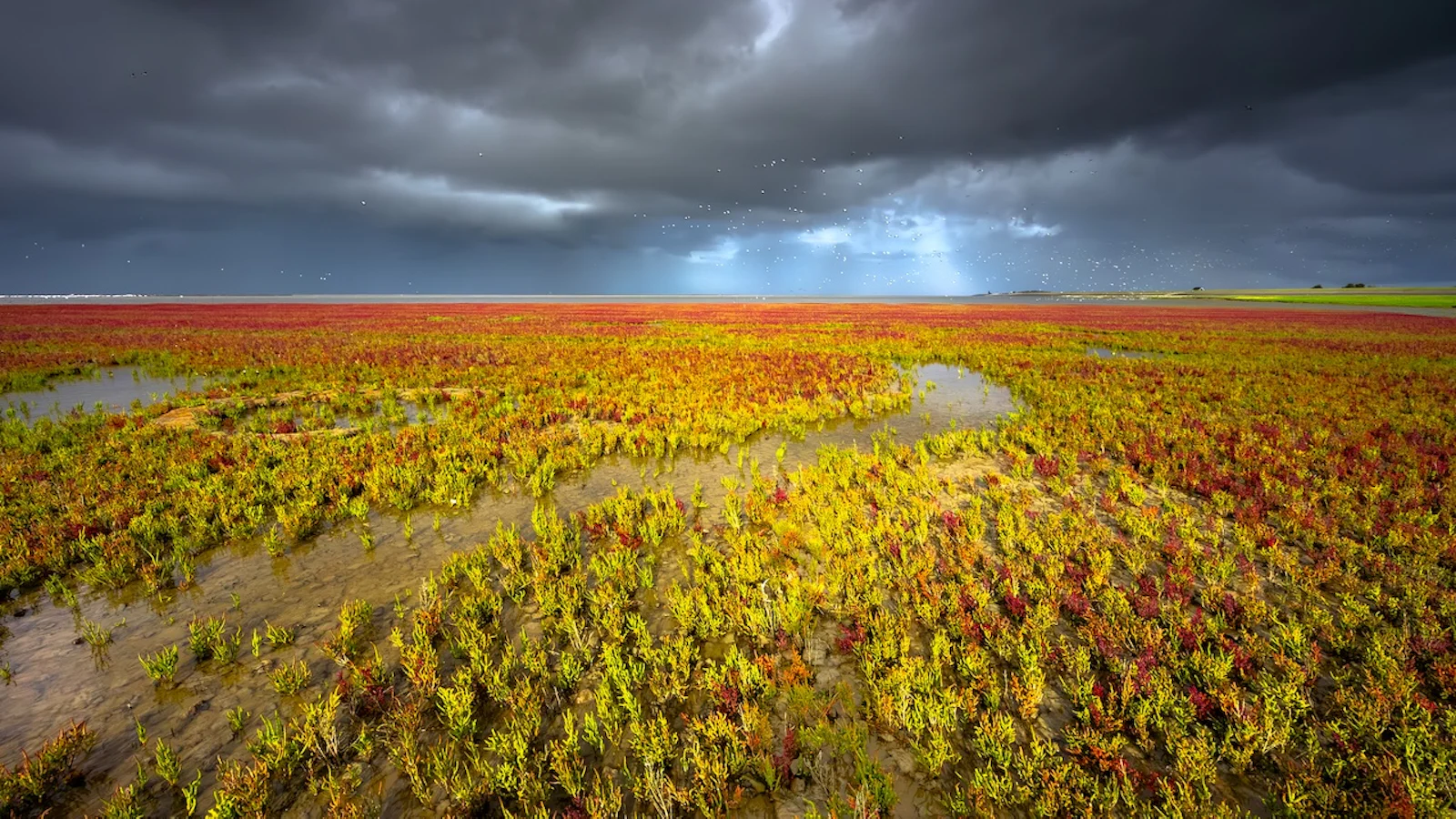 Tips - Natuuronderwerpen voor oktober!