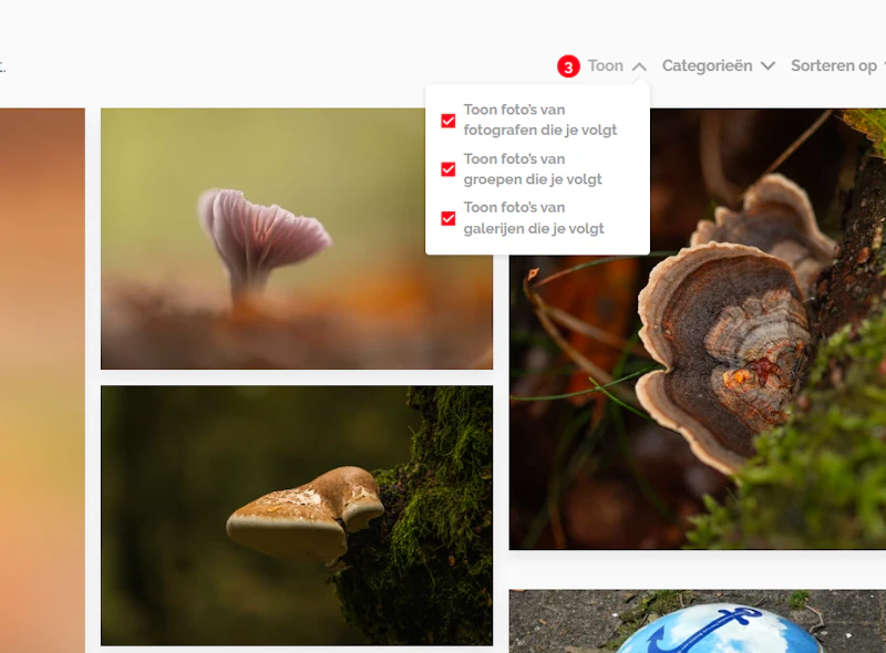 Zoom.nl website aanpassingen: zoeken naar gebruikers