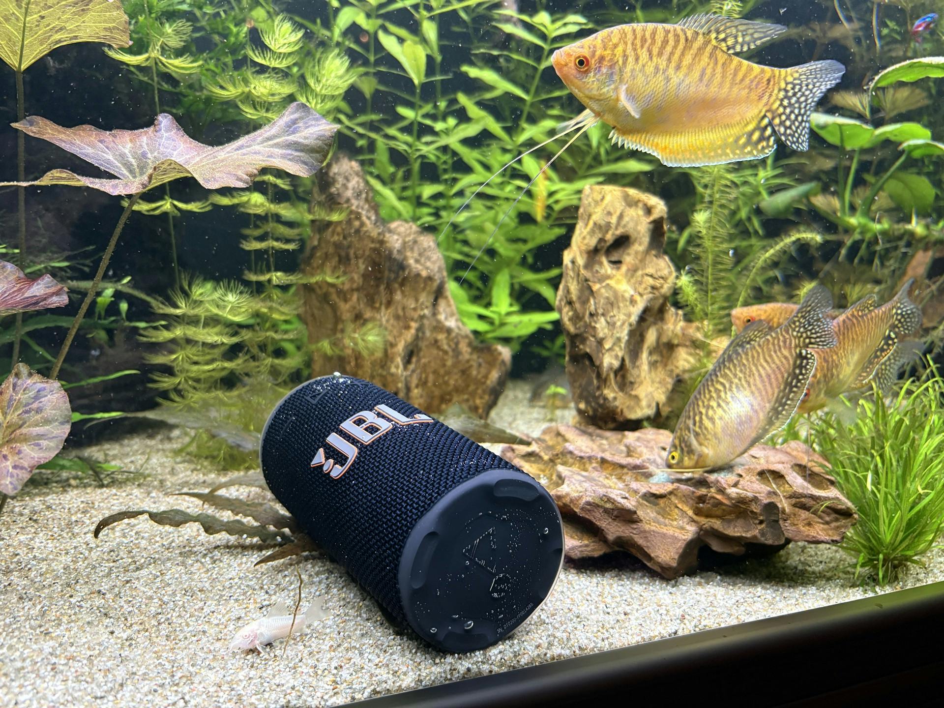 Bluetooth-speaker in aquarium