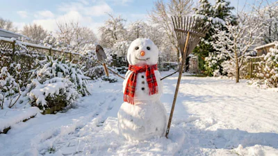 ❄️ Ook in december kun je lekker tuinieren: van snoeien tot een tweede leven voor je kerstboom