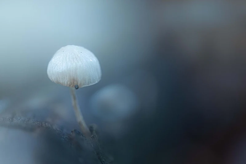 Zo bescherm je je camera in de kou