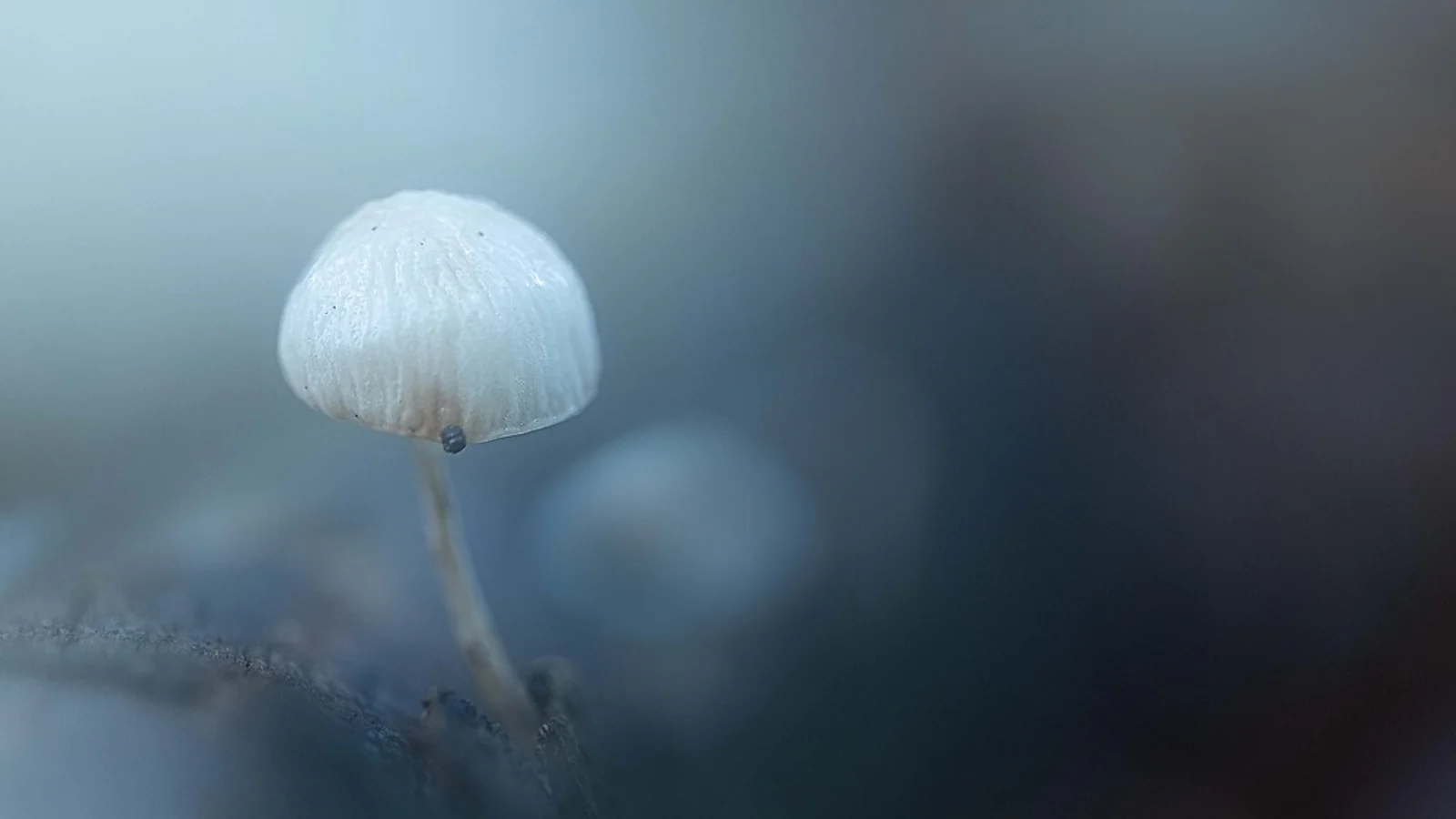 Zo bescherm je je camera in de kou