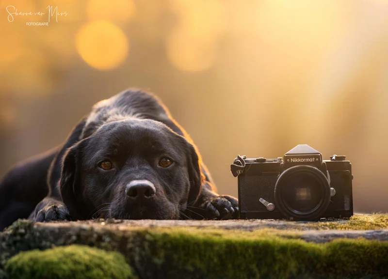 6 redenen om te beginnen met fotograferen