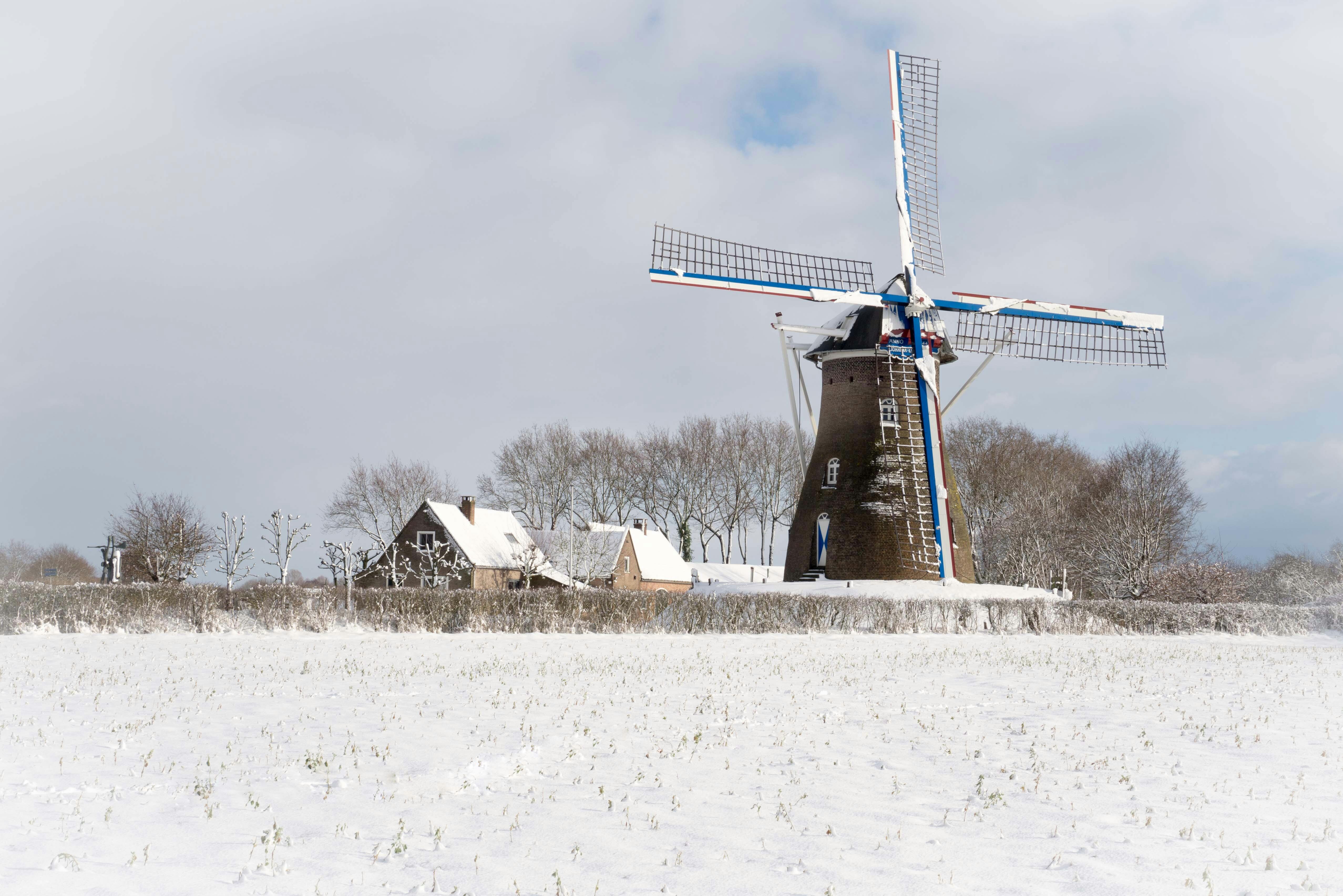 Liveblog: Eerste sneeuwfoto's 2026 - Winter in Nedeland