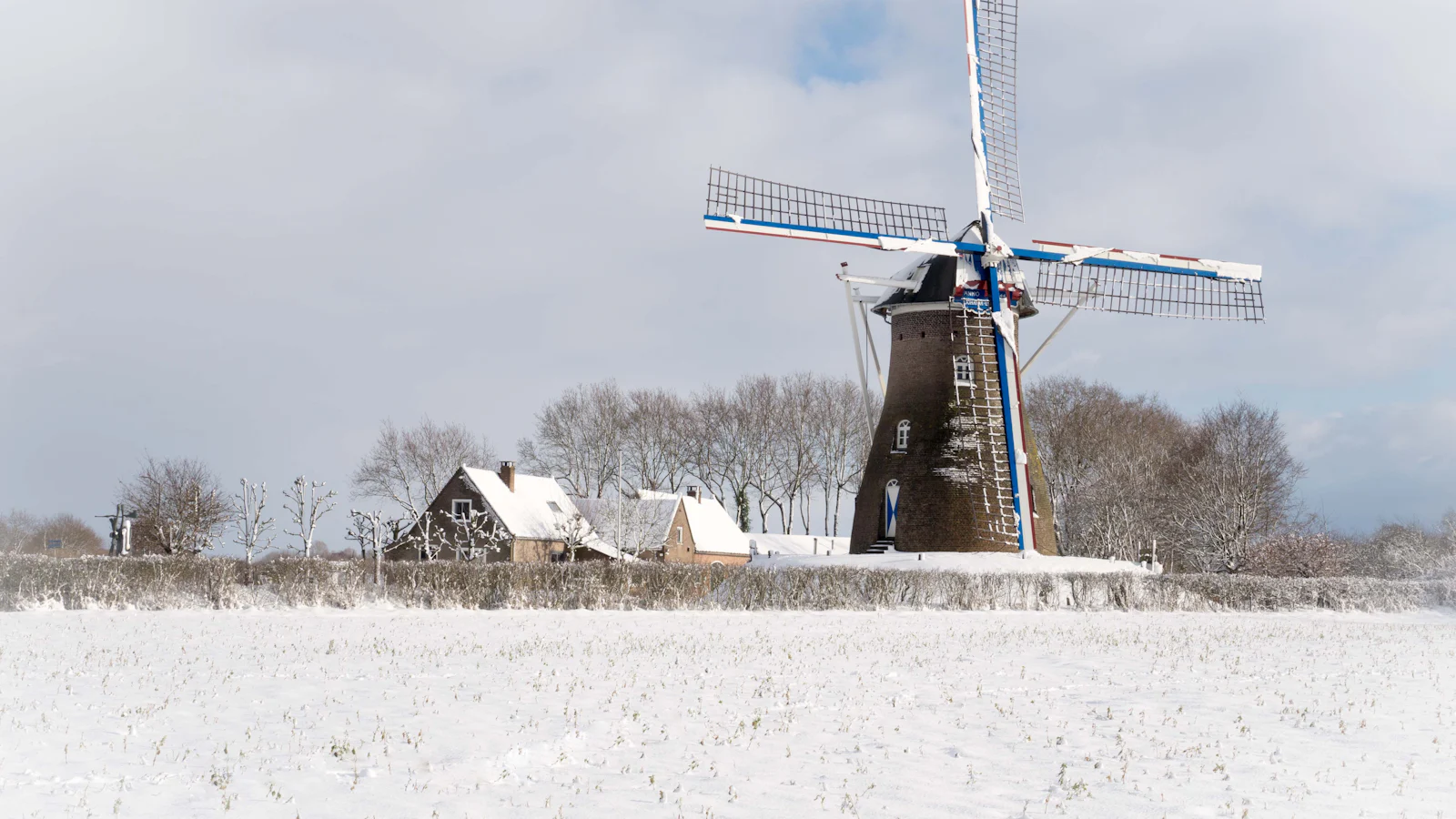 Liveblog: Eerste sneeuwfoto's 2026 - Winter in Nedeland