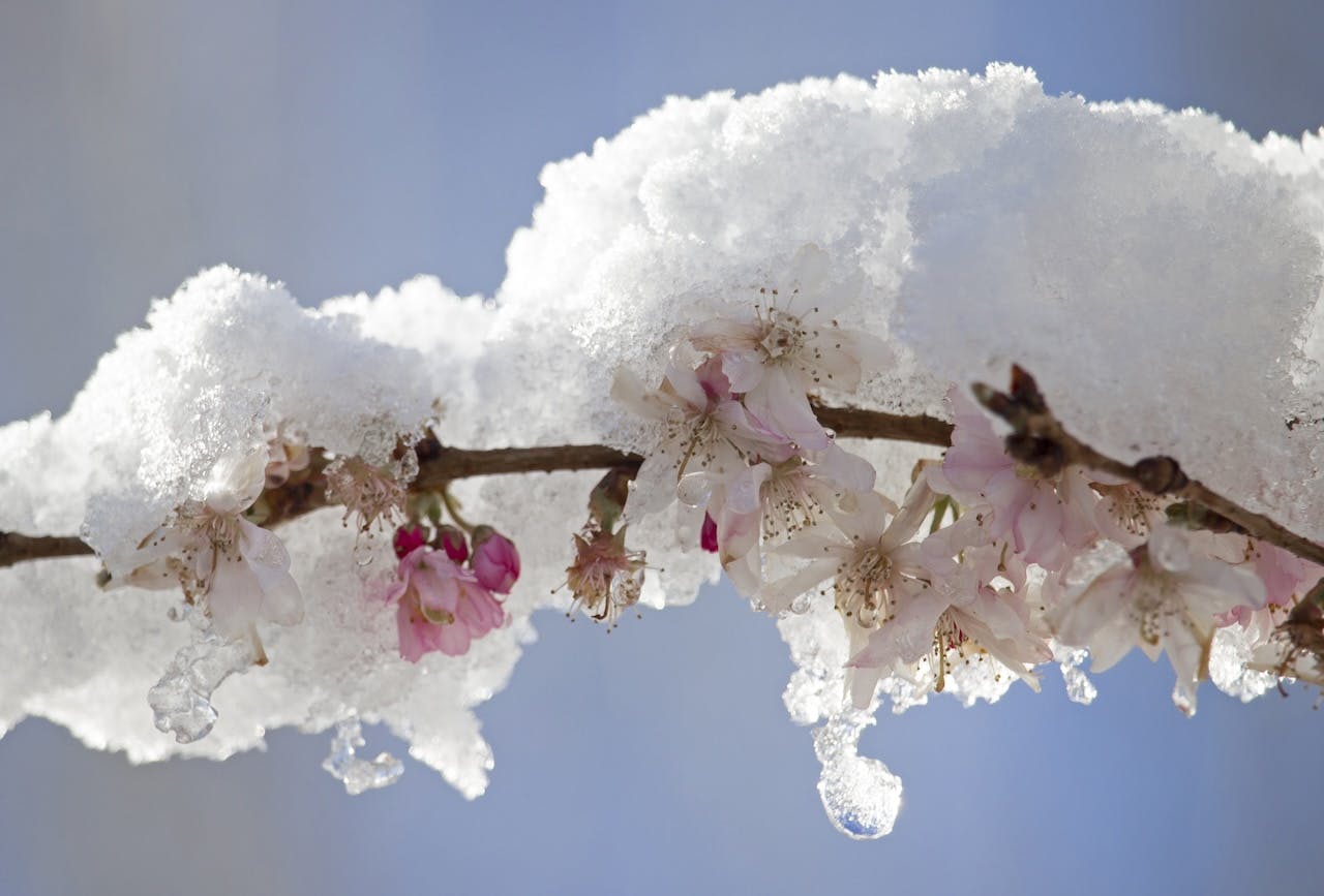 Sneeuwlandschappen fotograferen - 8 onmisbare tips 