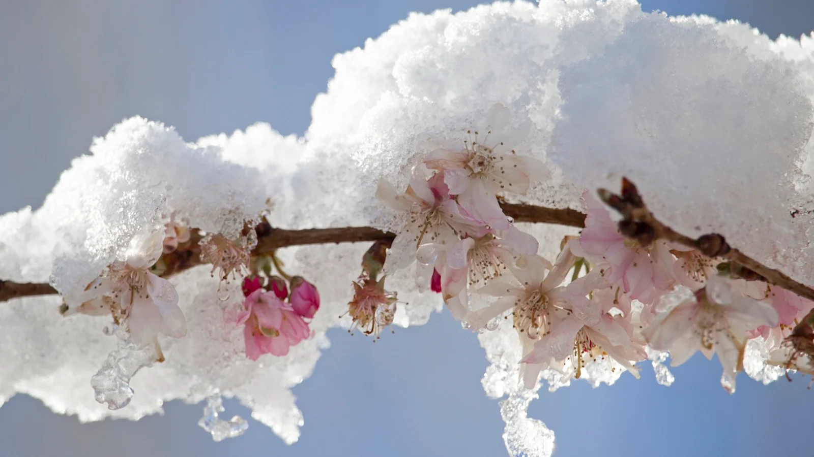 Sneeuwlandschappen fotograferen - 8 onmisbare tips
