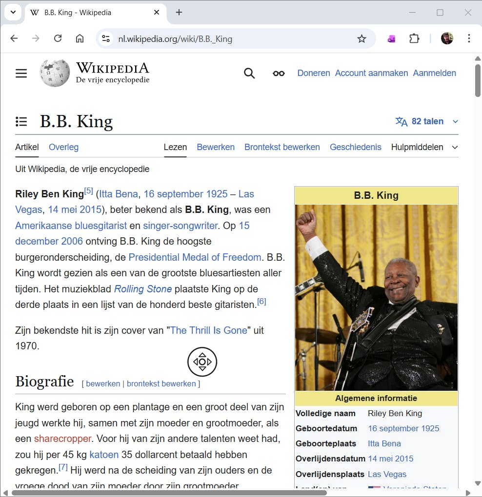 De nieuwe cursor geeft aan dat je automatisch horizontaal en verticaal kunt scrollen.