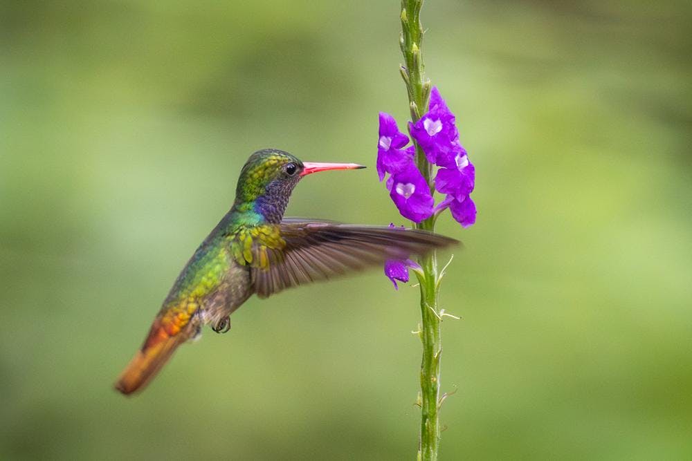 De belichtingsdriehoek uitgelegd