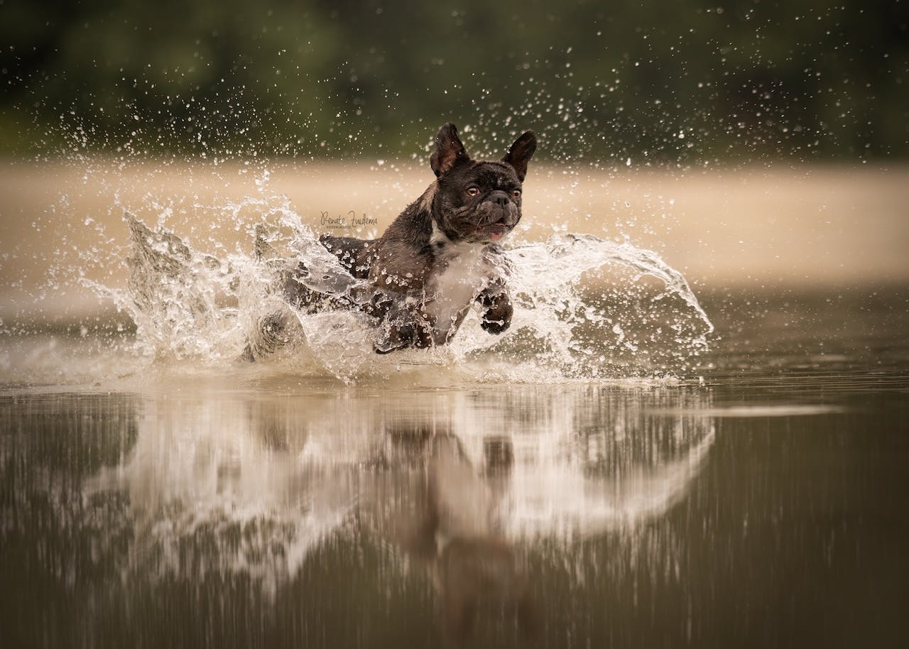 Tips - Water in beweging of bevriezen