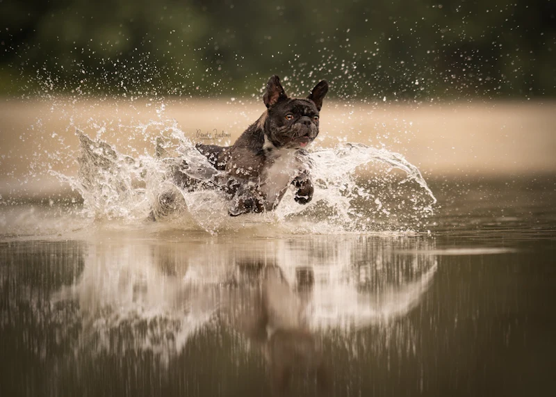 Tips - Water in beweging of bevriezen